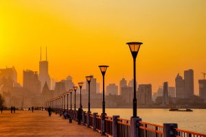 Digital Frameworks and Market Efficiency – Why Shanghai’s Escort Sector Functions Like a Tech-Driven Service Industry